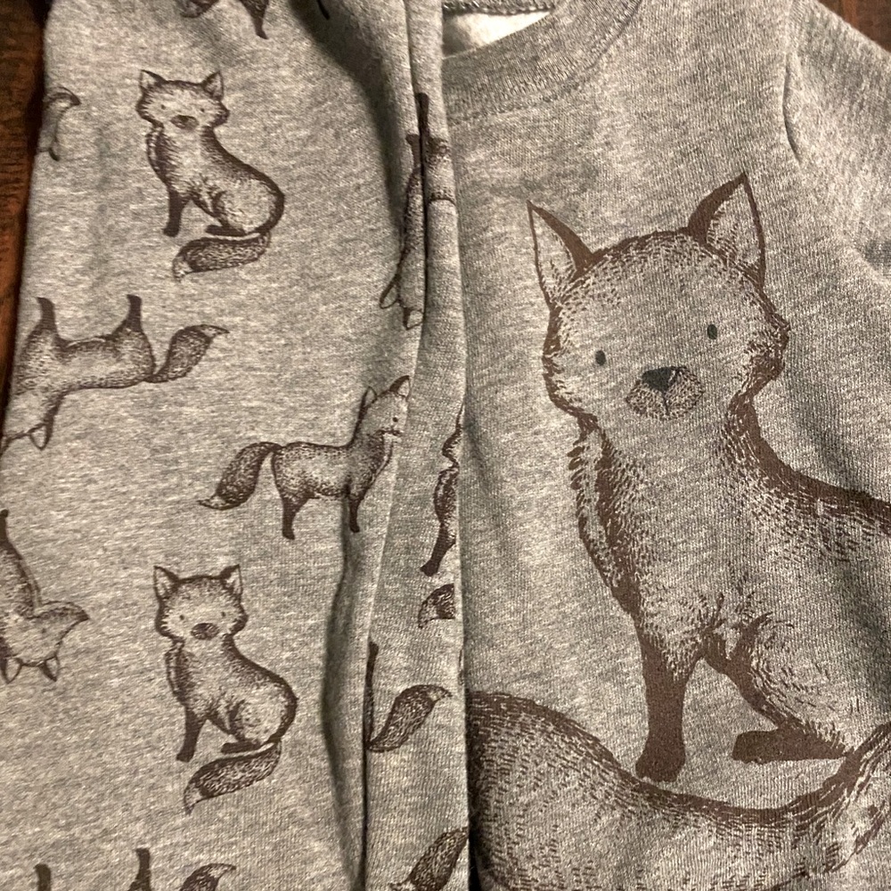 Toddler 18 Month Carter’s Outfit